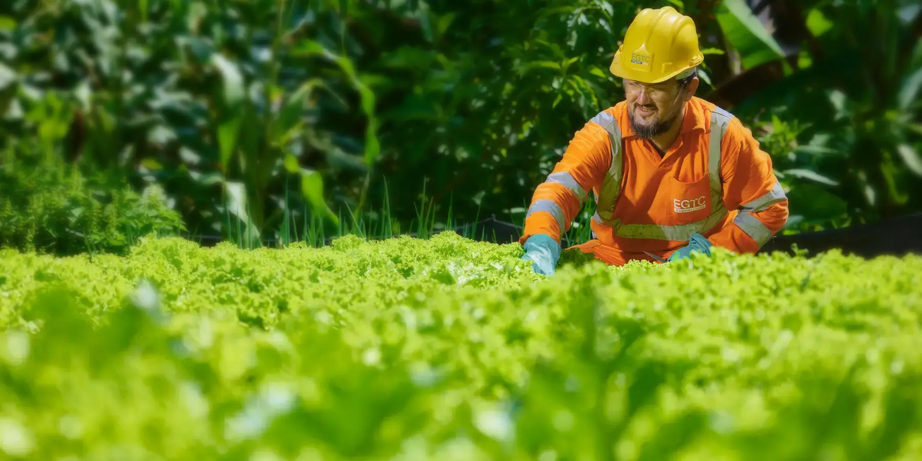 Pessoa com uniforme de segurança em horta comunitária de empresa em São José dos Campos, voltada à doação de alimentos