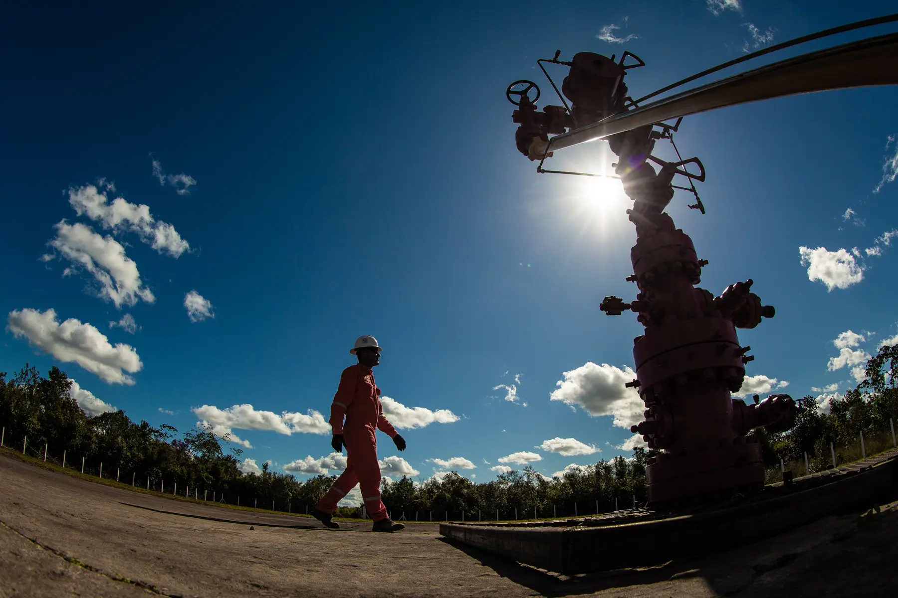 Árvore de natal seca instalada em campo de exploração de gás no interior de Alagoas, com colaborador em operação