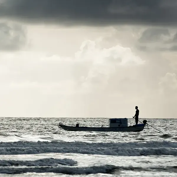 Comunidade e sustentabilidade