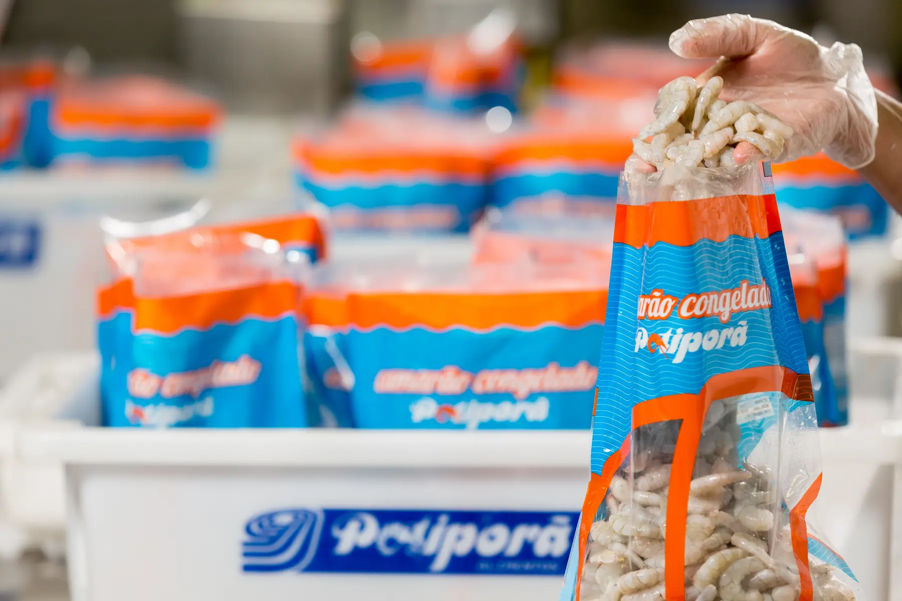 Embalagem de camarão congelado Potiporã em ambiente de processamento