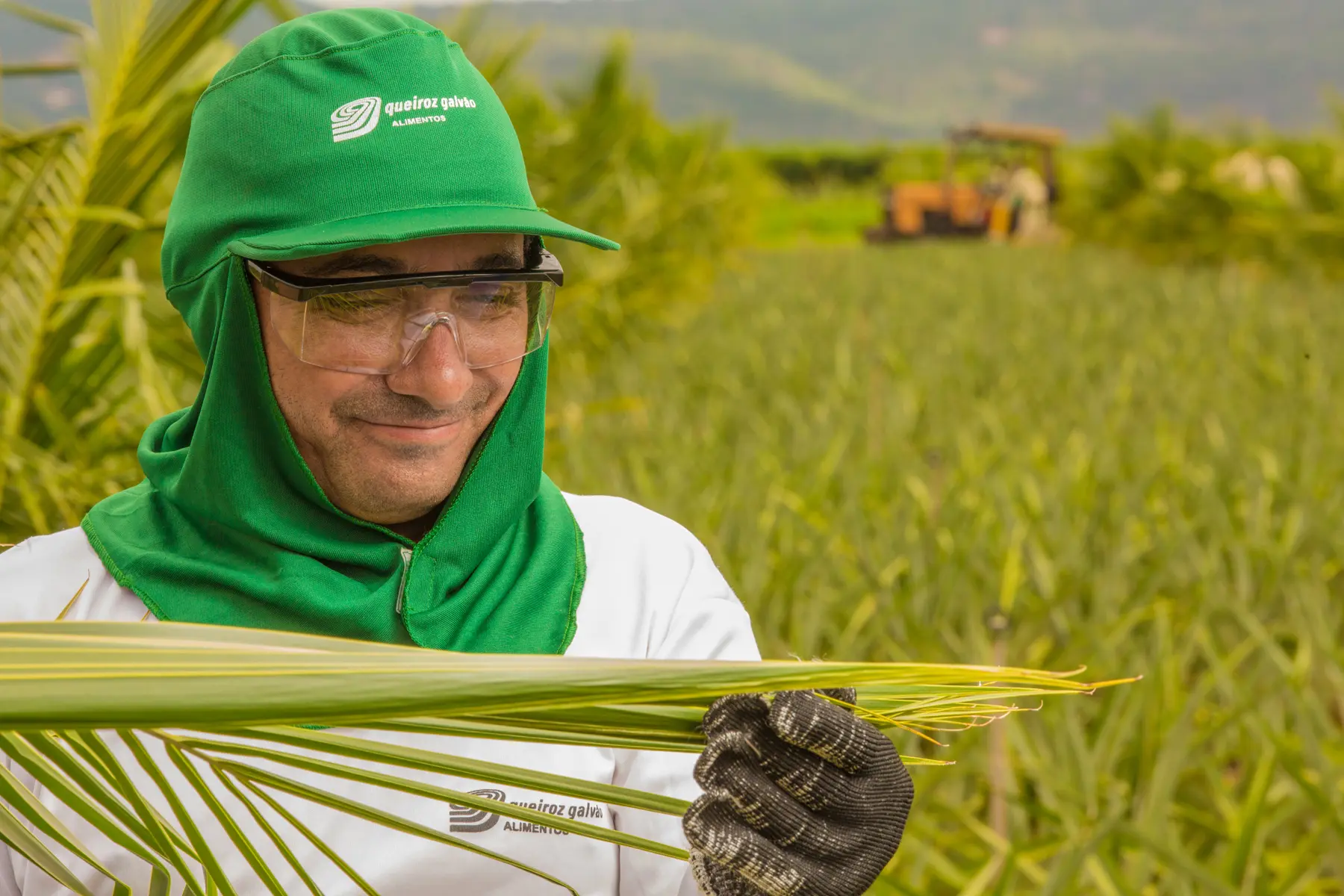 Trabalhador da Queiroz Galvão inspecionando folha em campo agrícola com trator ao fundo