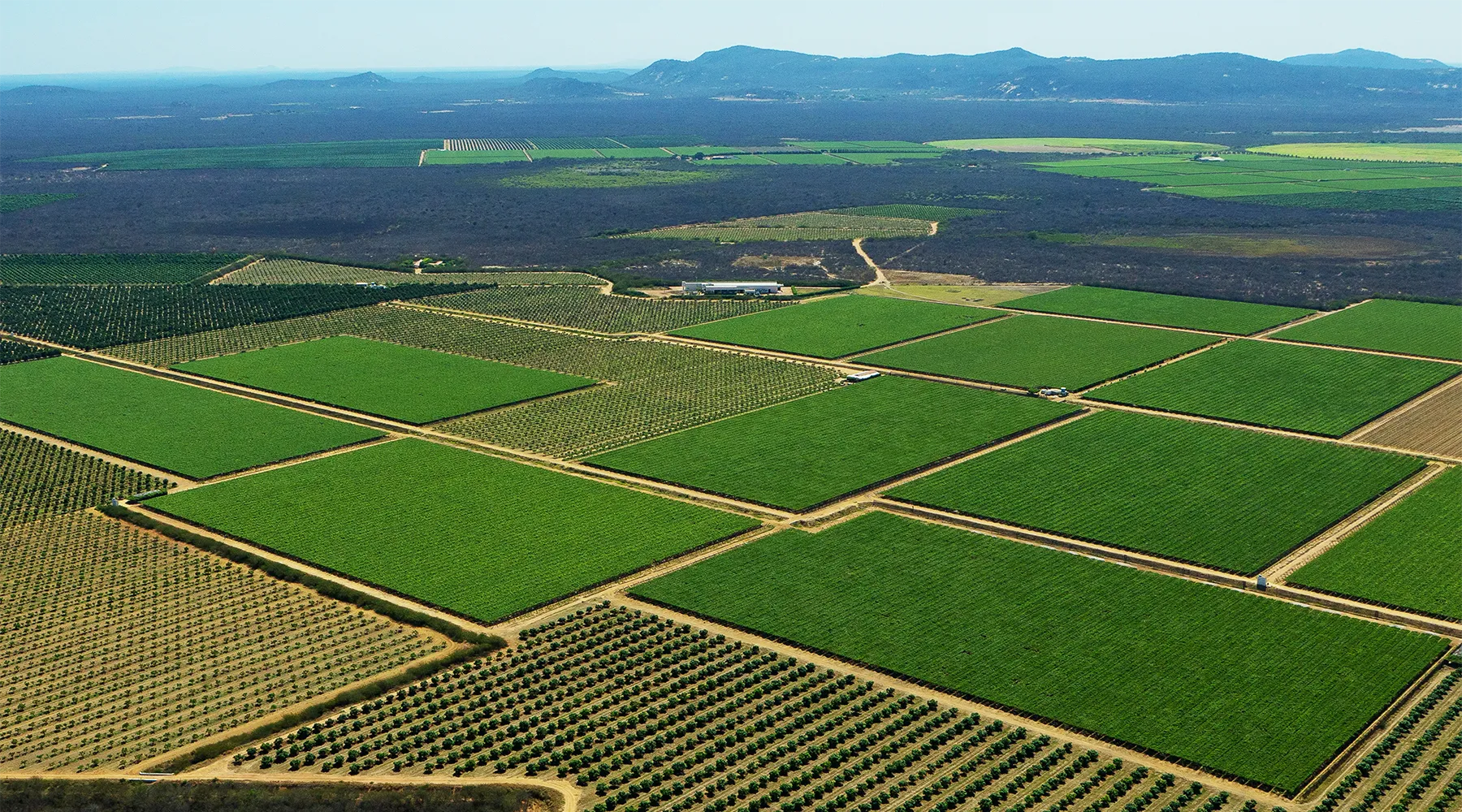 Vista aérea de lavouras divididas por estradas de terra, com áreas cultivadas e vegetação ao fundo.