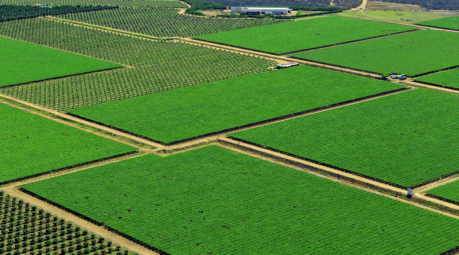 Vista aérea de lavouras organizadas com estradas de terra e áreas cultivadas em ambiente rural produtivo.
